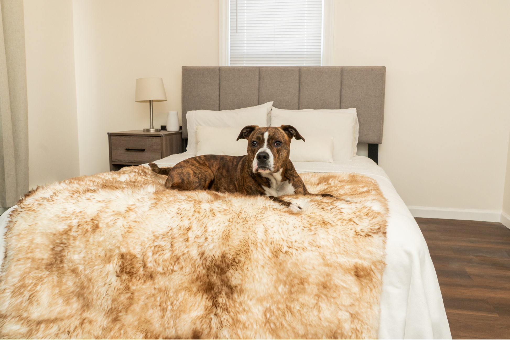 Ecolux Sheepskin Pet Blanket – Premium Real Wool Comfort Woolf Brands