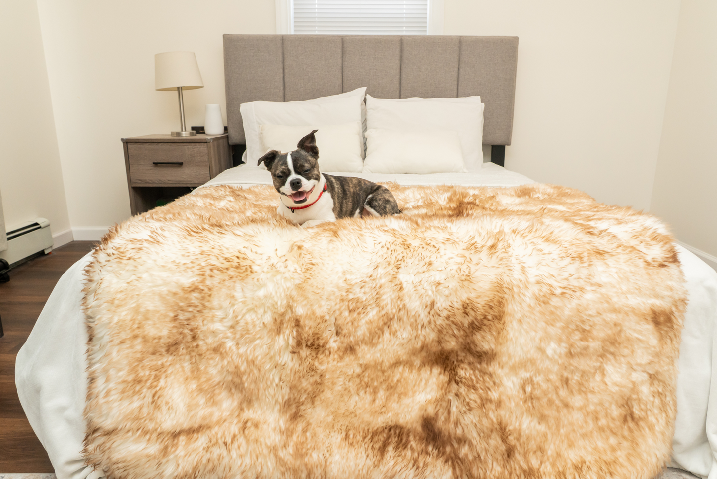 Ecolux Sheepskin Pet Blanket – Premium Real Wool Comfort Woolf Brands