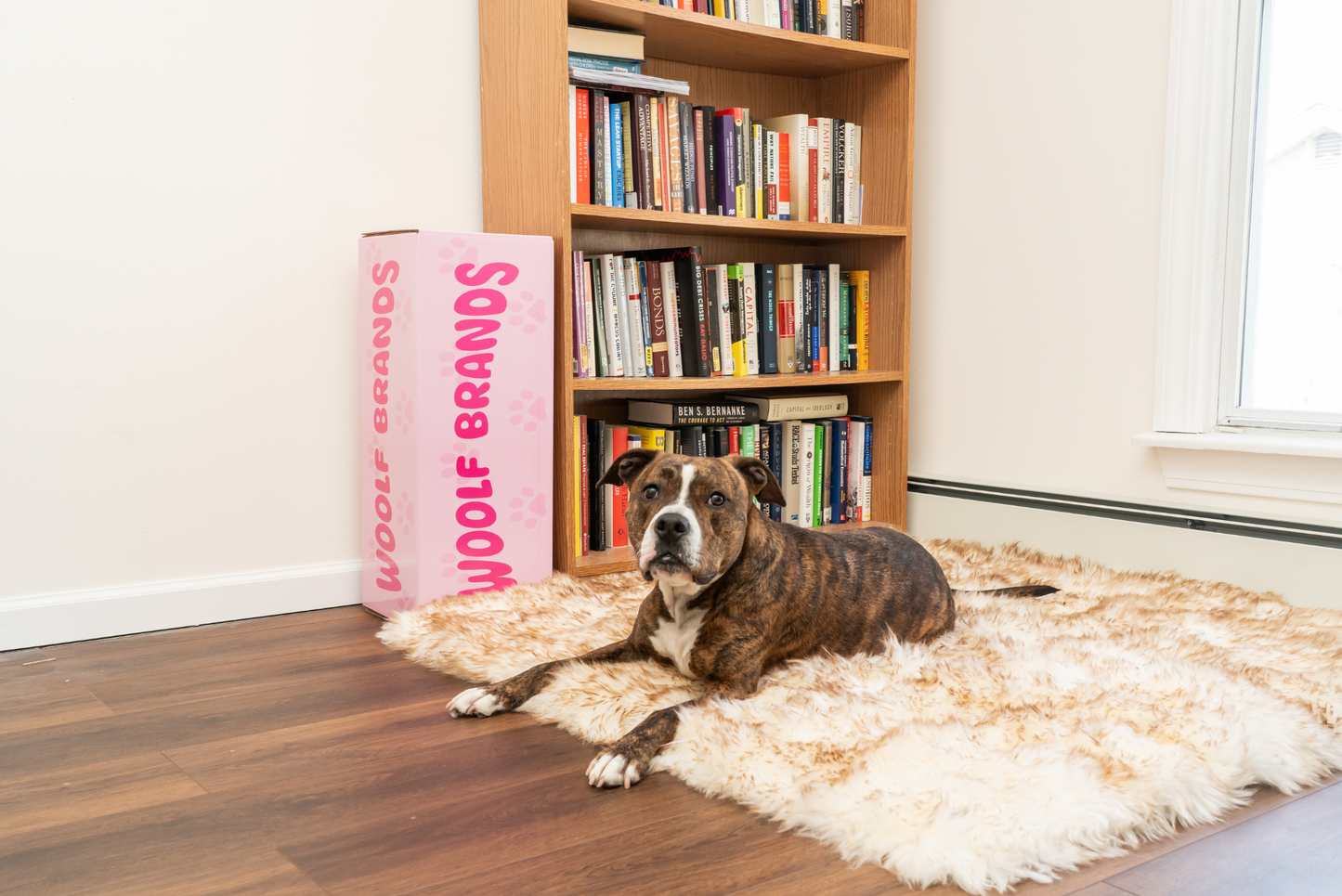 Ecolux Sheepskin Pet Blanket – Premium Real Wool Comfort Woolf Brands